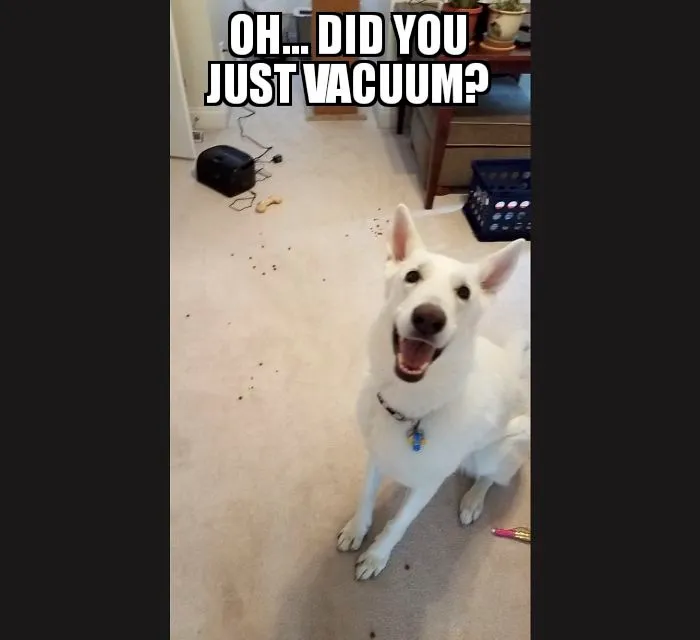 Every. Day.