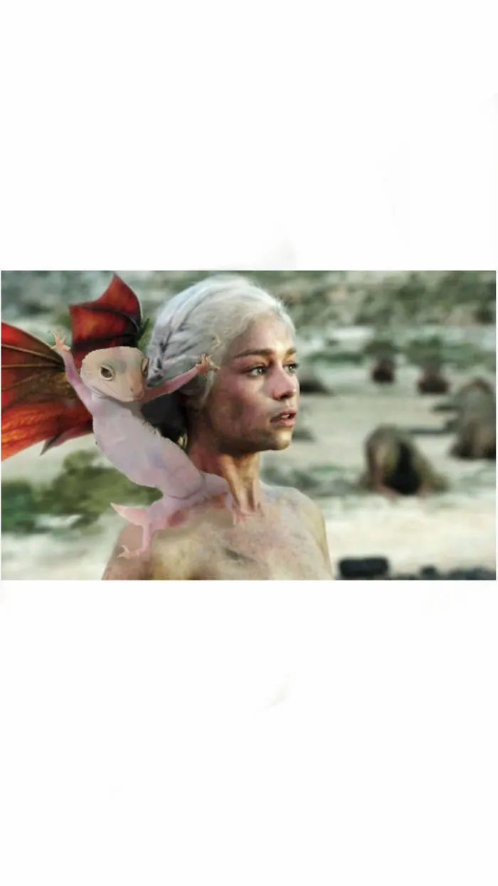 #motherofgeckos