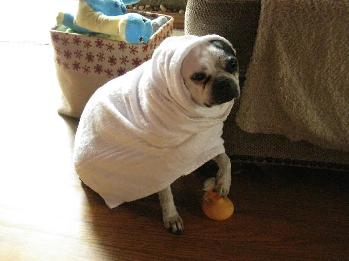 Molly`s  Spa Day