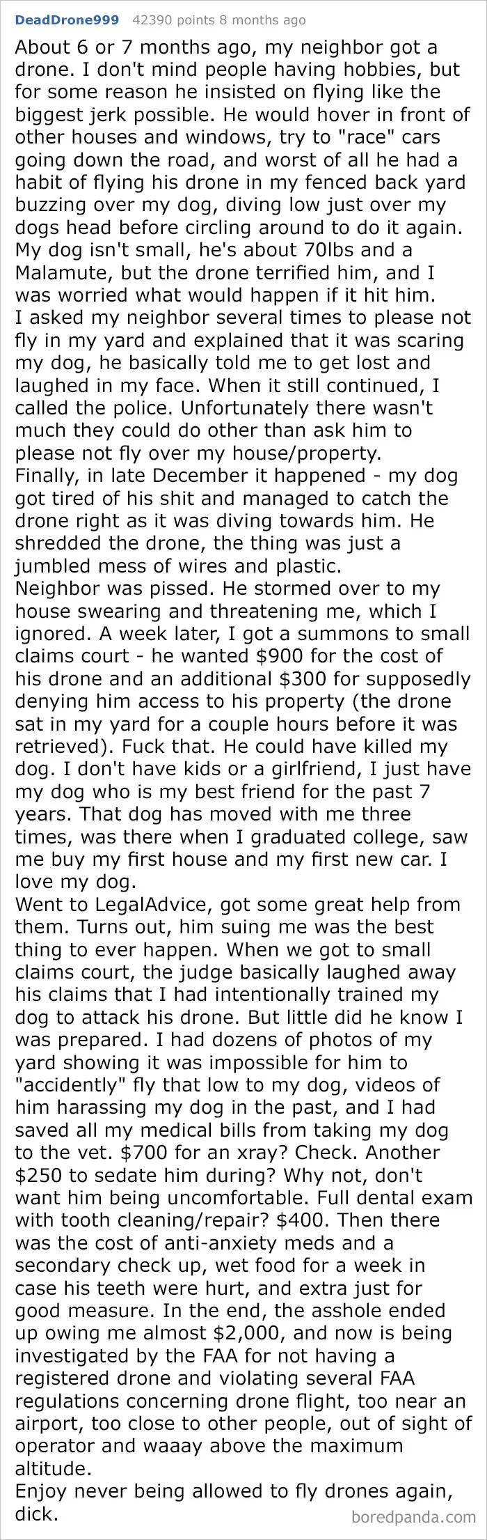 Neighbor Sued Me After Harassing My Dog For Months, Lost Horribly