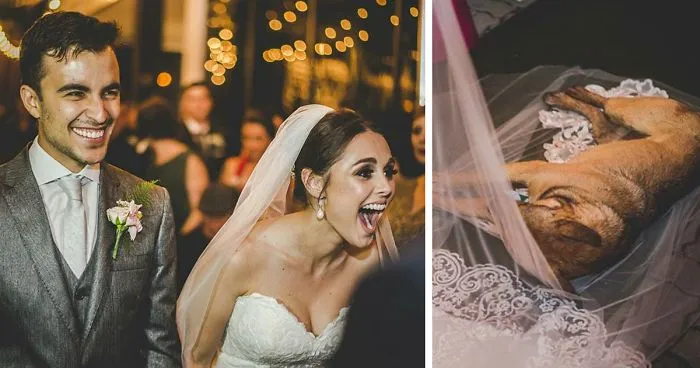 This Couple's Reaction To A Dog Who Crashed Their Wedding Just Won The Internet