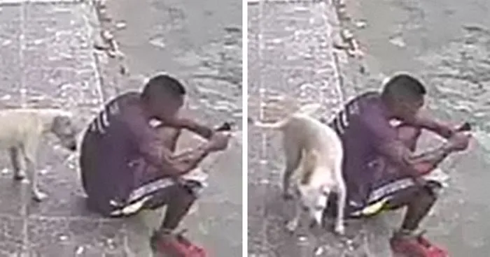 Guy’s Reaction To Stray Dog Peeing On His Back Enrages The Internet, But Things Take Unexpected Turn