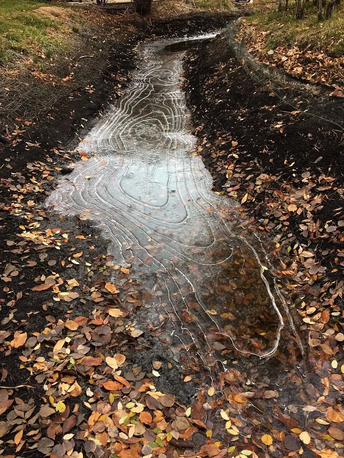 The Way This Ice Froze Looks Like A Topographic Map