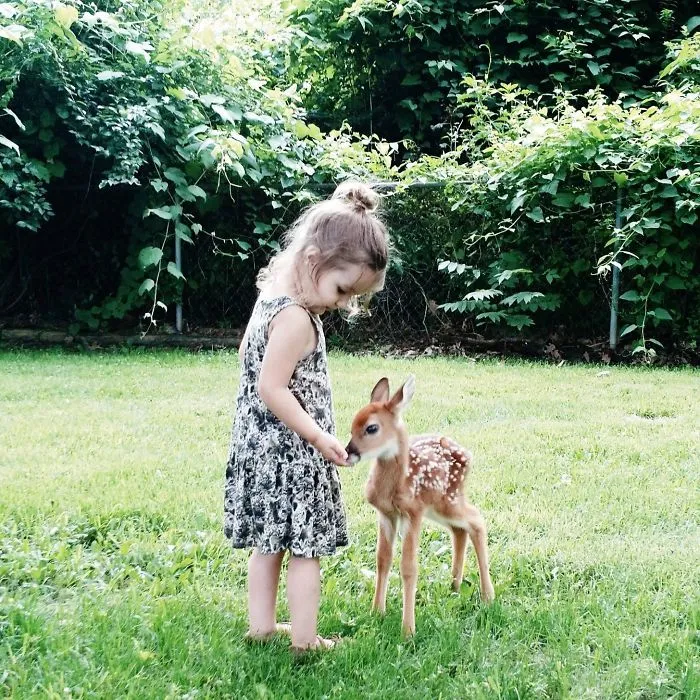 Princesa aprendiendo
