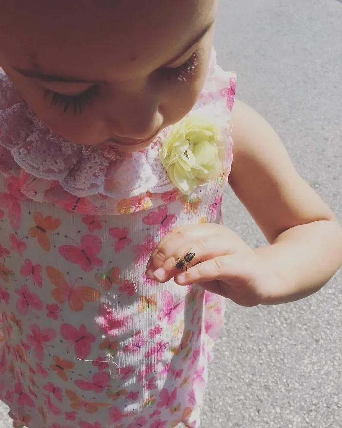 Mi hija se había comido una golosina de miel y una abeja se posó en su mano. Antes de que se asustara, le dije que solo quería coger la miel que tenía en los dedos, y que era su amiga