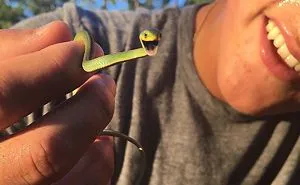 26 Adorable Snake Pics That Will Help You Conquer Your Fear