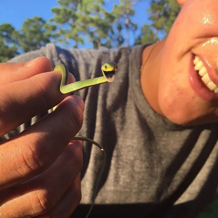 Happy Snek & Happy Human