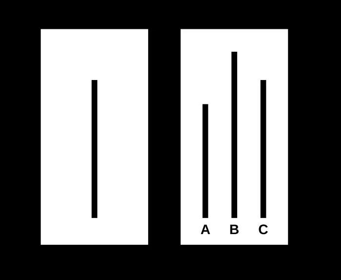The Asch Conformity Experiment