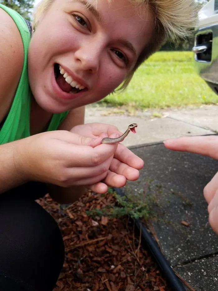 Snek Is Preparing For A Happy
