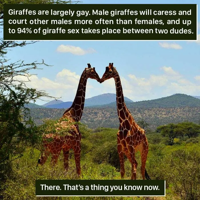Tall Tales and True Facts
