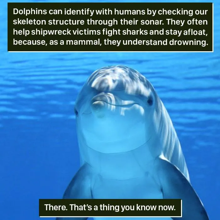 Mammals With Moral Compass