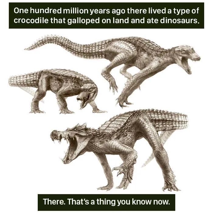 Three illustrations of a prehistoric galloping crocodile that ate dinosaurs, showcasing nature's weirdness and evolution.