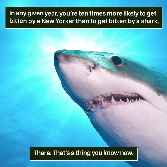 Bite Odds Unveiled