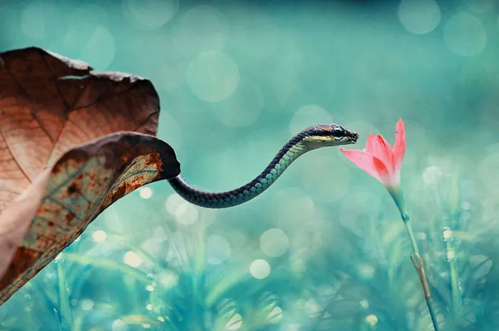 Snake With Flowers