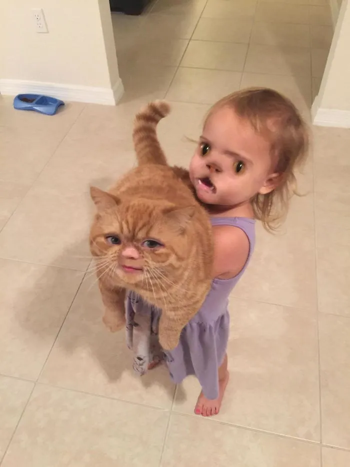 Pero el gato está precioso