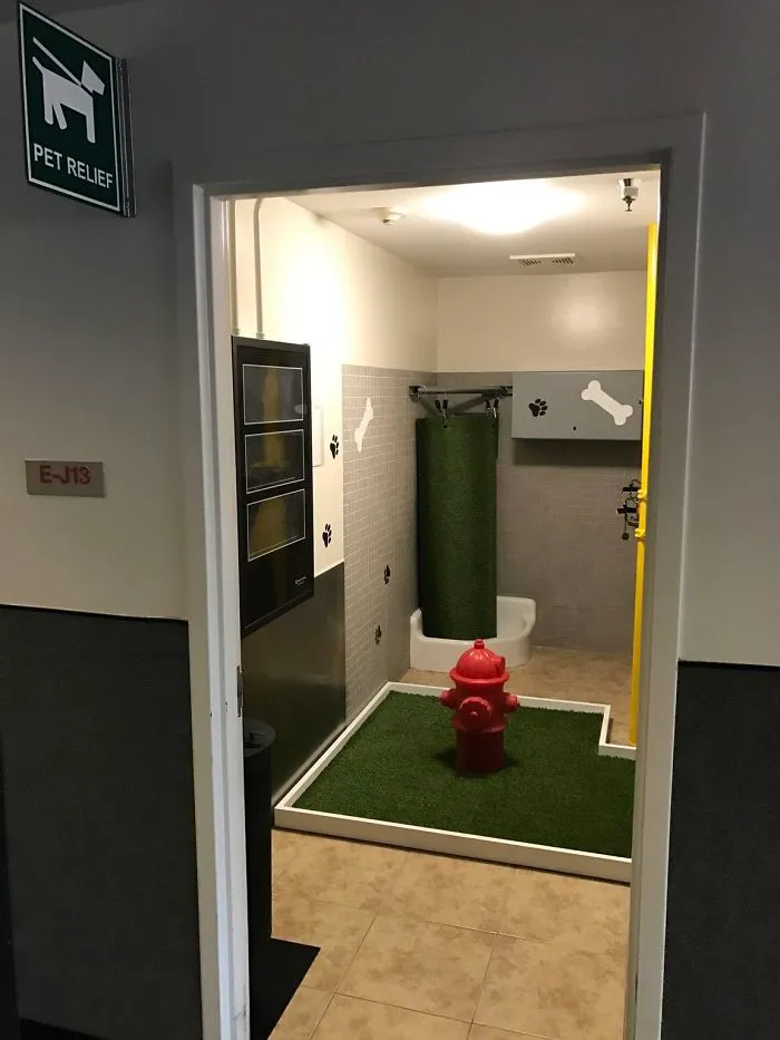 Pet Pooping Station At The Airport