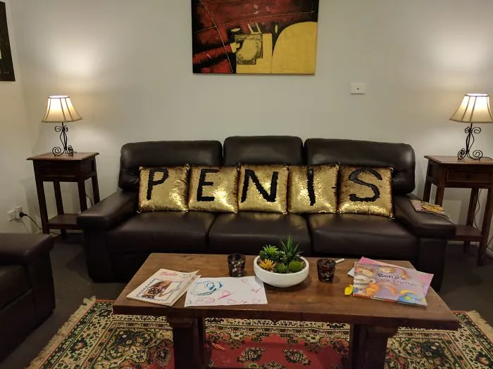 My Wife Bought New Couch Pillows You Can Draw On. Immature Me Couldn't Resist