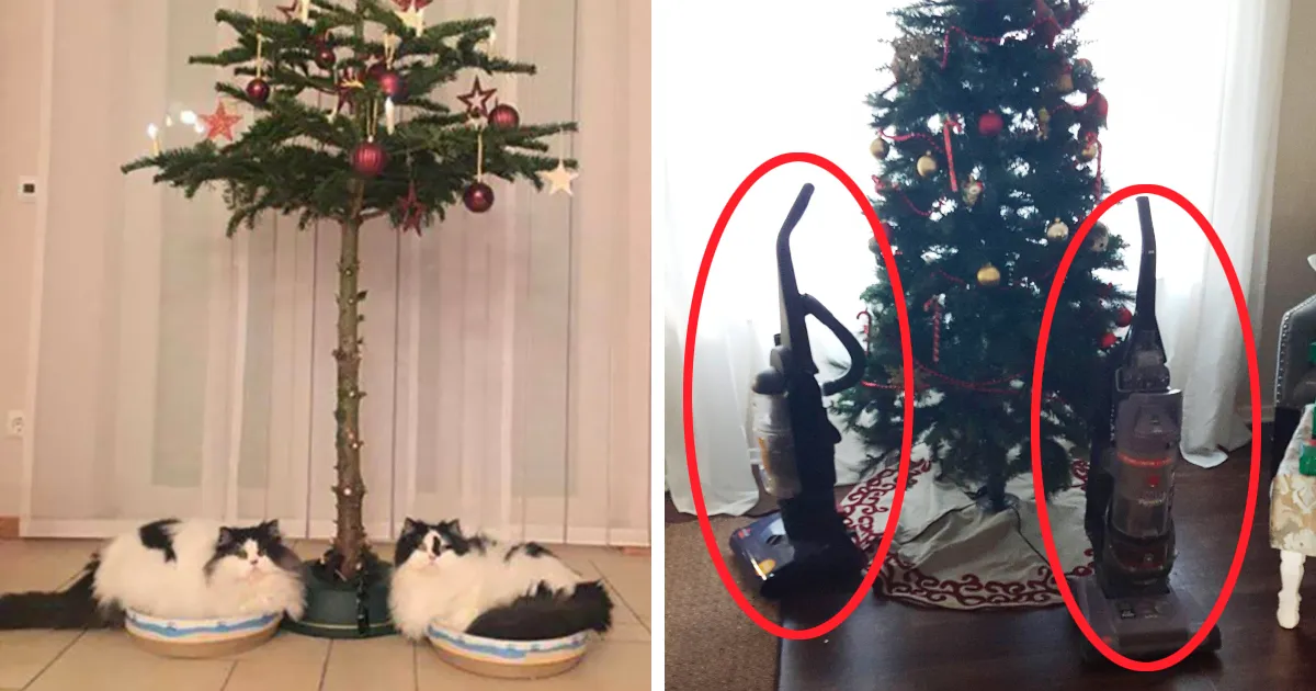 15+ personas ingeniosas que encontraron la forma de proteger sus árboles de Navidad de perros y gatos cabrones