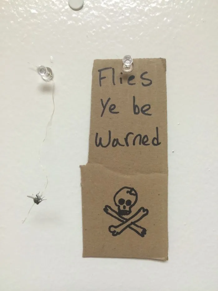 My Girlfriend Asked Me To Take Care Of Her Fly Problem