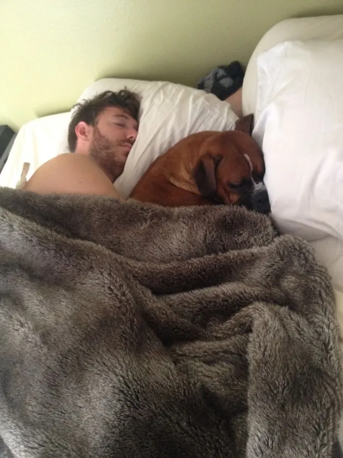 Me fui a trabajar, y se me olvidó el móvil. Solo tardé 10 minutos en volver y esta perra ya estaba en la cama con mi novio