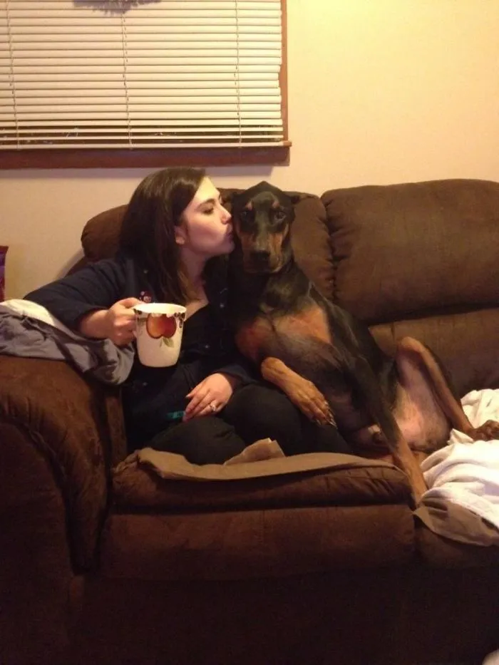 Creo que el perro es como Brian de Padre de Familia pero con mi esposa