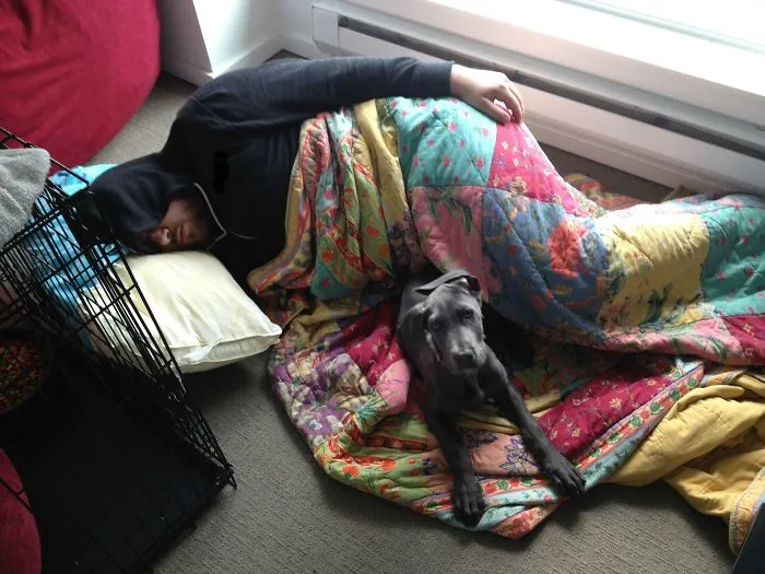 Le dije a mi novio que el perro no se iba a subir a la cama. Eligió al perro