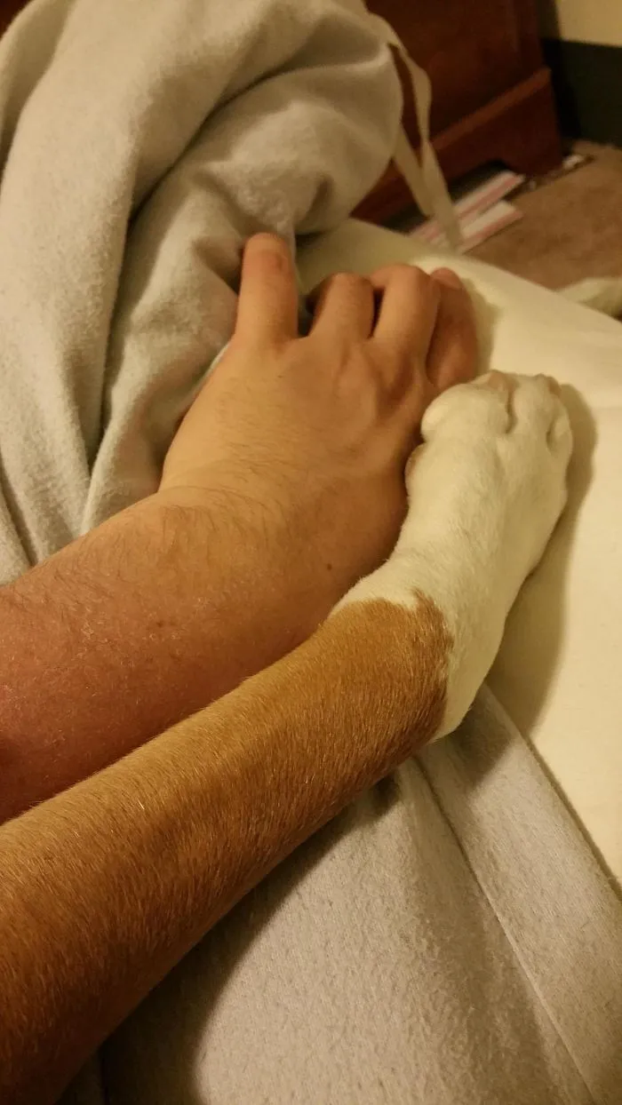 Le mando estas fotos a mi novia para ponerla celosa