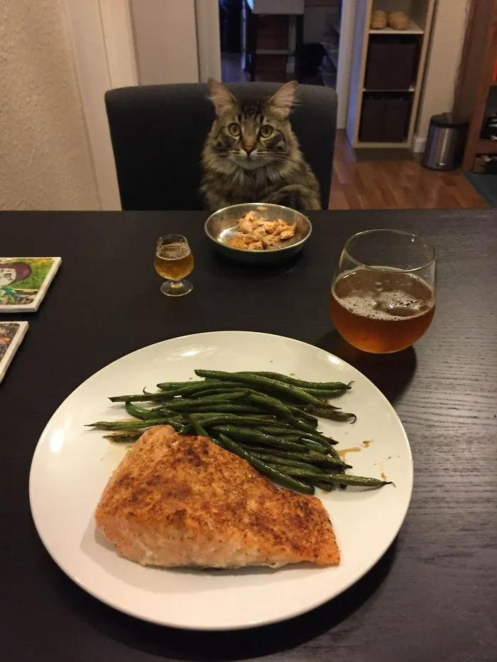 Cena para dos. Mi novia lleva mucho tiempo fuera