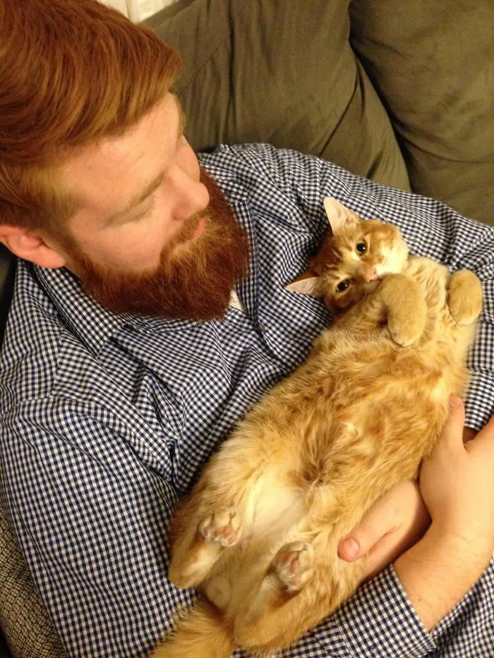 Creo que el gato quier a mi novio más que a mi