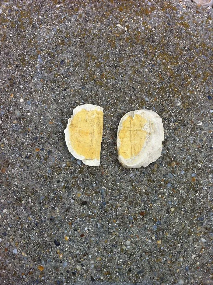 These Rocks Kinda Look Like Sliced Hard Boiled Eggs