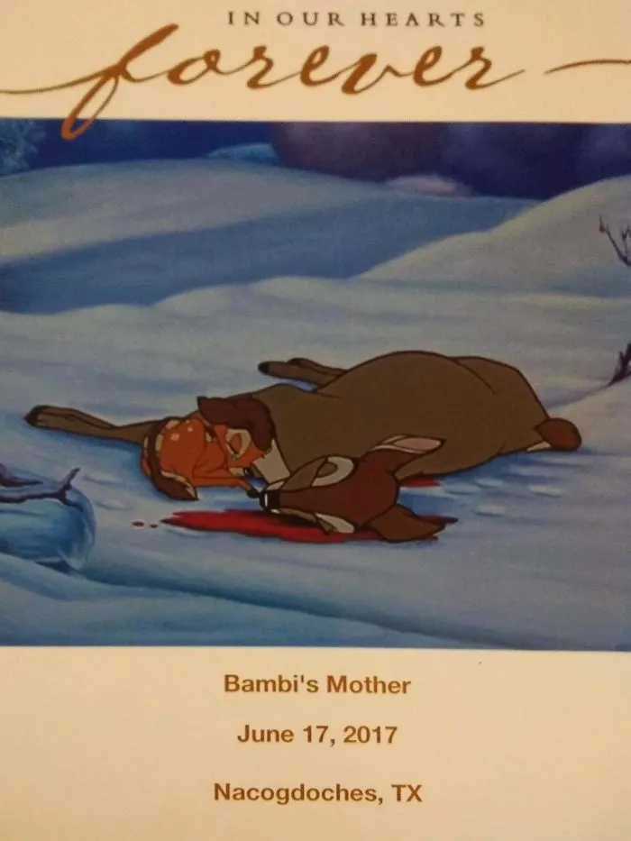 I Hit A Deer Last Saturday. My Husband Sent His Condolences From Out Of Town