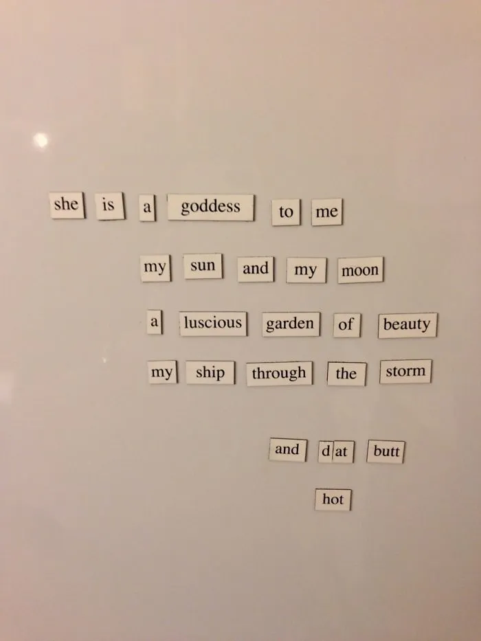 My Wife Didn't Appreciate My Fridge Magnet Poem