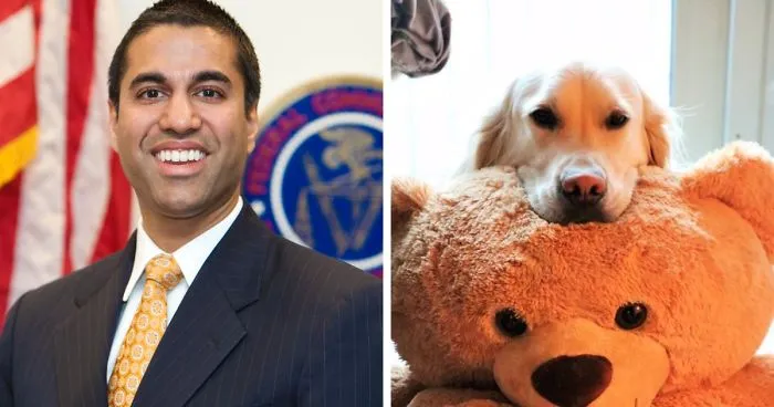 'WeRateDogs' Owner Realizes Net Neutrality Killer Ajit Pai Follows Him On Twitter, Gives Him A Taste Of His Own Medicine