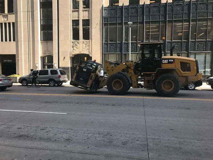 Spotted A Mama Cat Gently Carrying Her Child Today