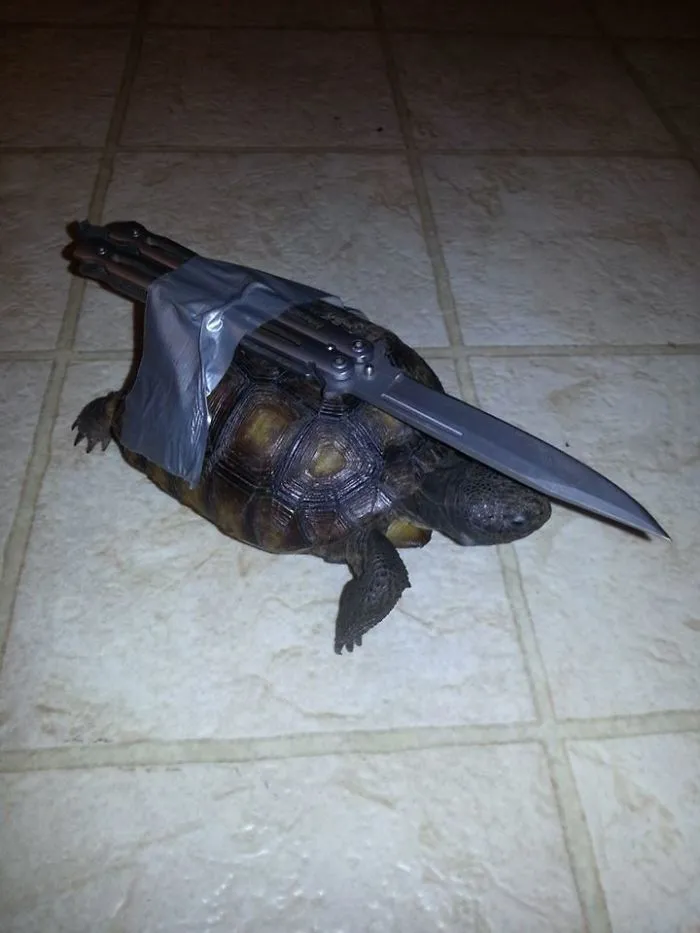 My Buddy's Answer To His Wife Saying They Needed A Guard Dog