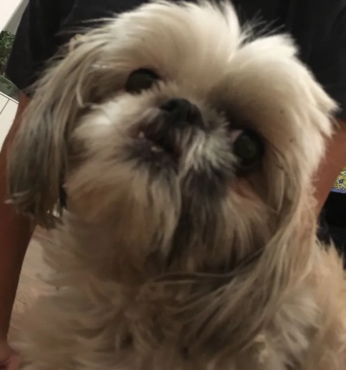 My Dog With An Underbite