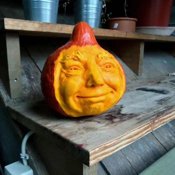 I Made A Trumpkin!