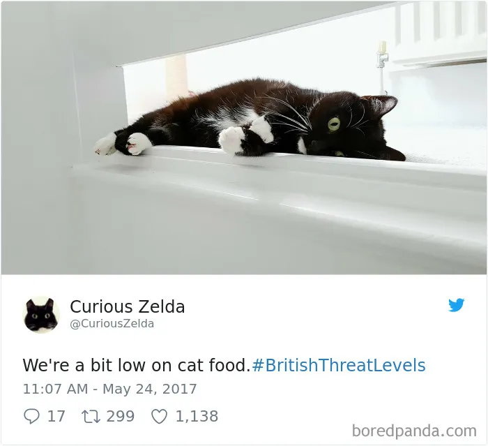 73 Funny Tweets By Curious Zelda That Will Instantly Make Your Day
