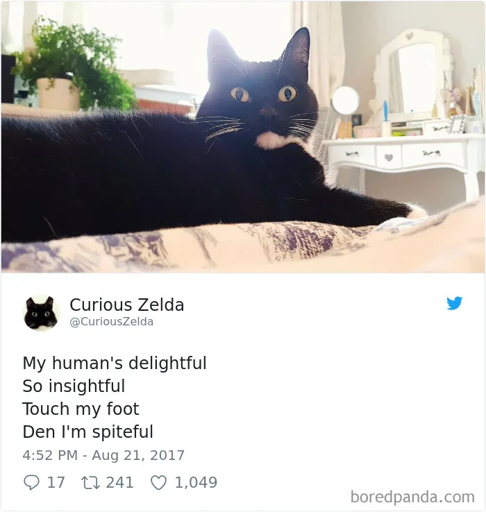 73 Funny Tweets By Curious Zelda That Will Instantly Make Your Day