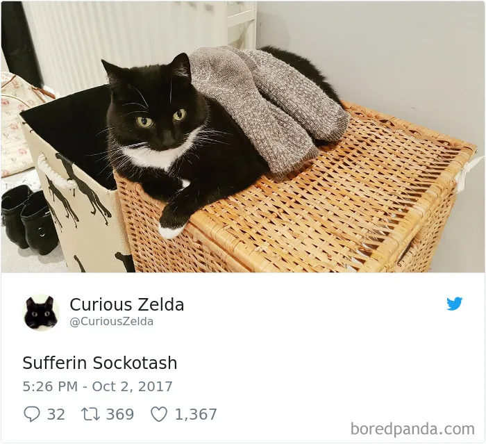 73 Funny Tweets By Curious Zelda That Will Instantly Make Your Day
