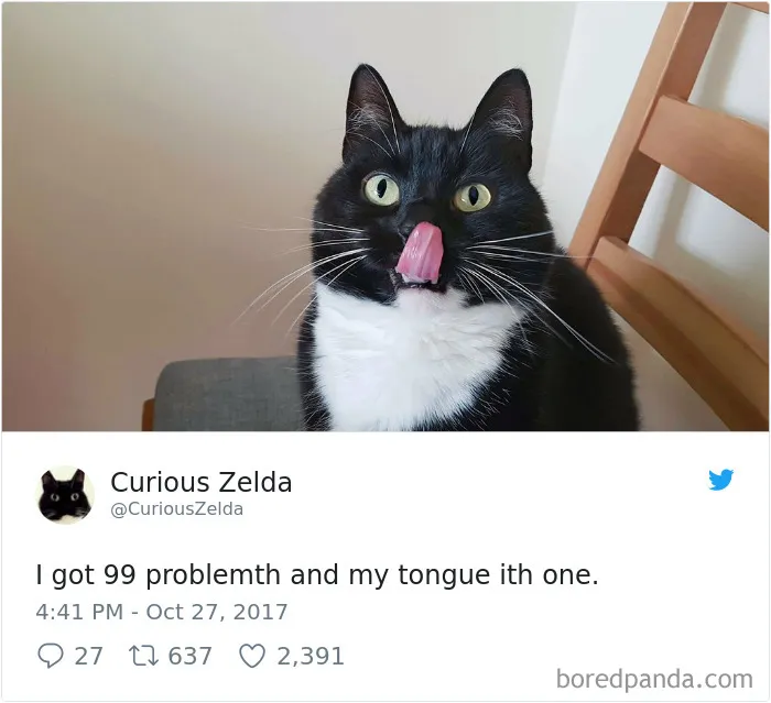 73 Funny Tweets By Curious Zelda That Will Instantly Make Your Day
