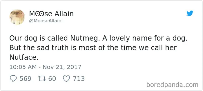 Pet Name Reality Check