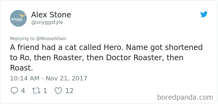 The Evolution of a Cat\'s Name
