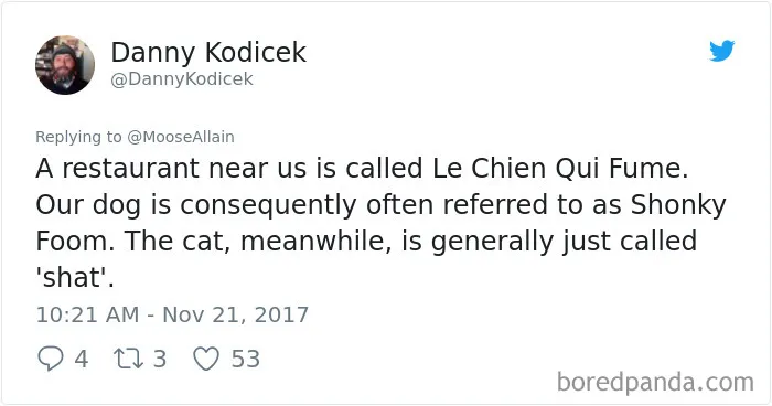 Tweet showing people sharing the funny names they now call their pets instead of the original ones.