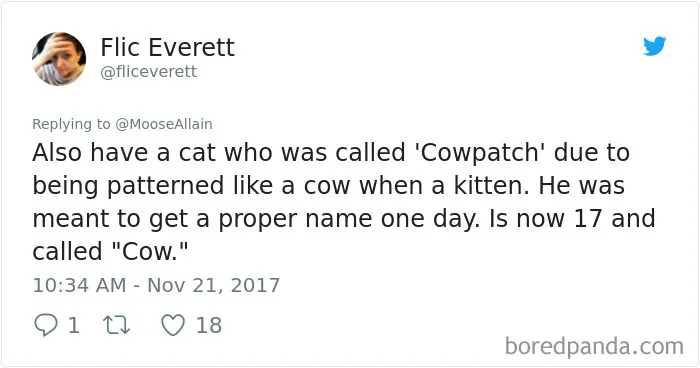 Still Just Cow