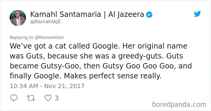 Tweet showing a hilarious example of people sharing the new names they call their pets instead of the original ones.