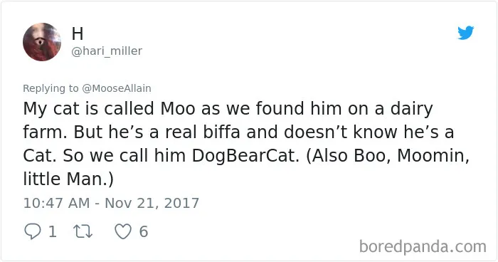 Tweet showing a person sharing funny pet names they now call their cat instead of the original name.