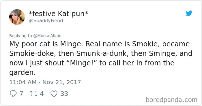 Twitter post sharing a humorous story about renaming a pet cat, illustrating funny pet name changes.