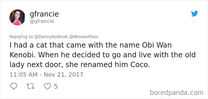 Tweet about people sharing funny new pet names instead of the original ones, highlighting pet renaming stories.