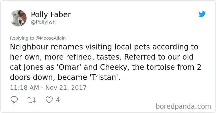 Tweet sharing funny renamed pets like a cat called Omar and a tortoise named Tristan by a neighbor with refined tastes.
